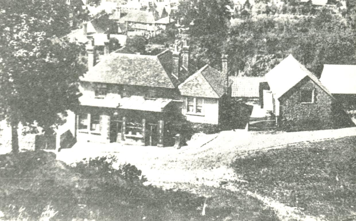 lord-rodney-closeup-limpsfield