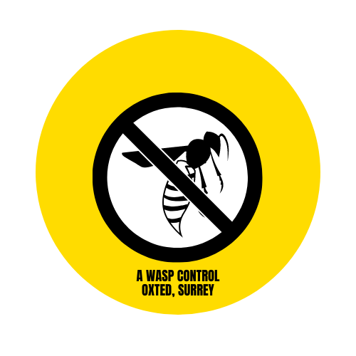 Wasp Control Sign A WASP Control – Limpsfield, Surrey